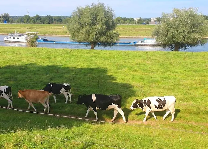 Sunbi-chalet * Lathum