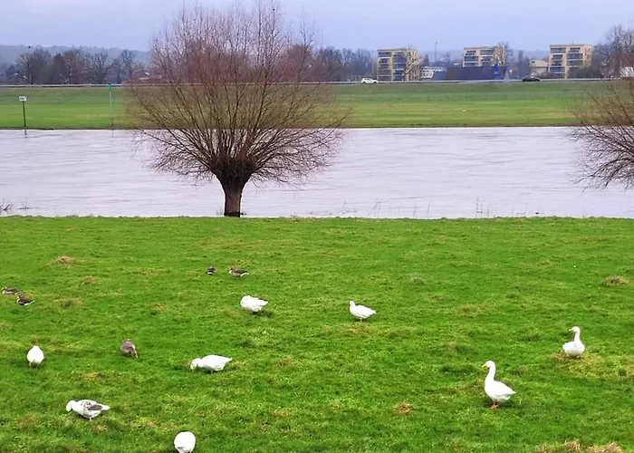 Alpehytte Sunbi-chalet *